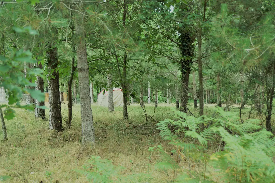 Emplacement en pleine nature