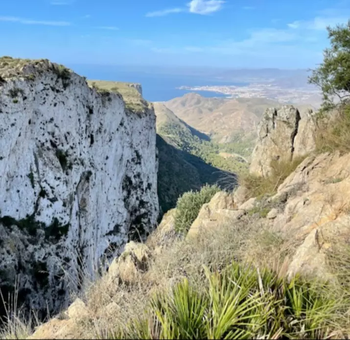 Espacio Natural Protegido Los Jarales 