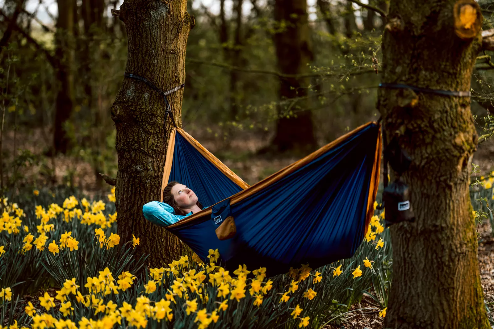 The Big Sky Hideaway