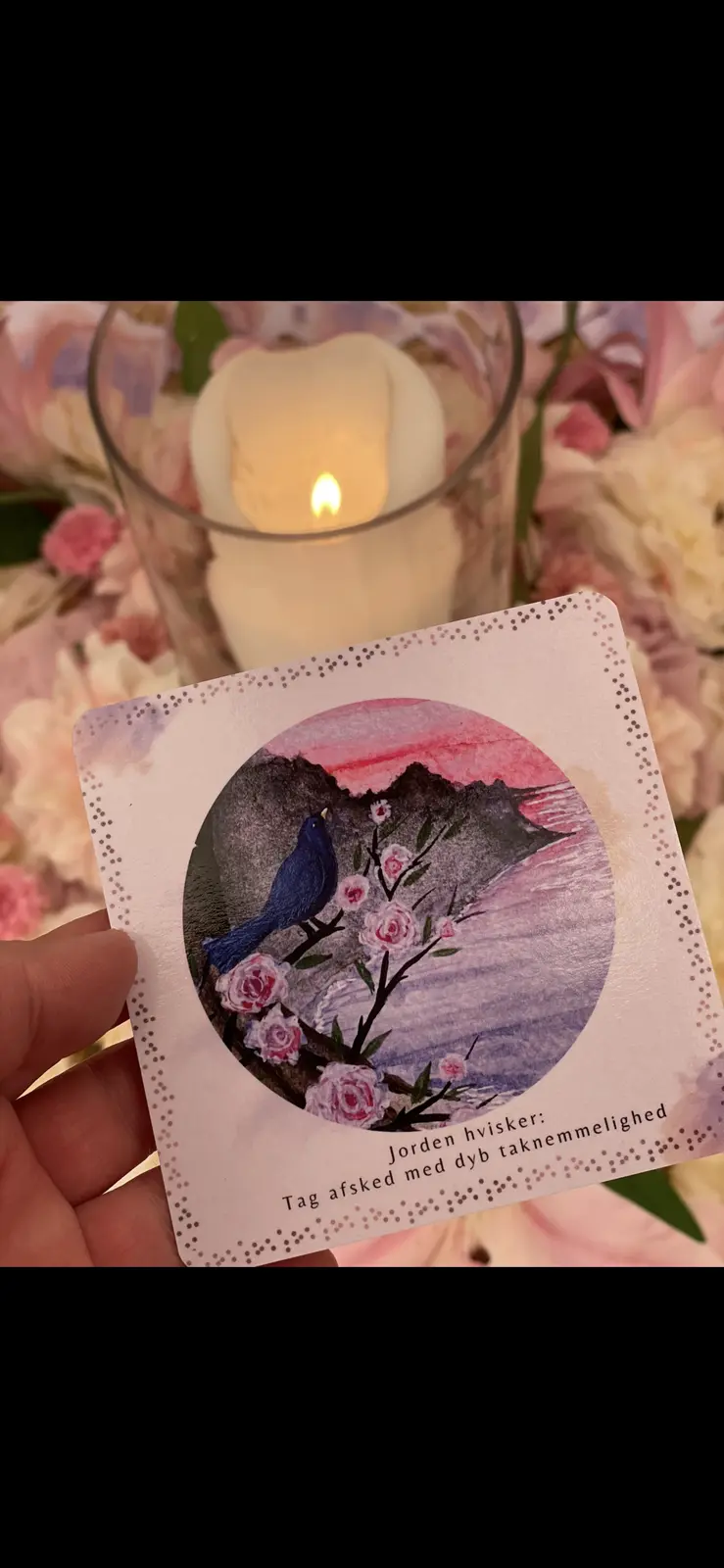 Chalet i Holmegaard – Kontakt os for unik mulighed for overnatning for 4 personer med privat breathwork-lydhealing og gus – photo 10