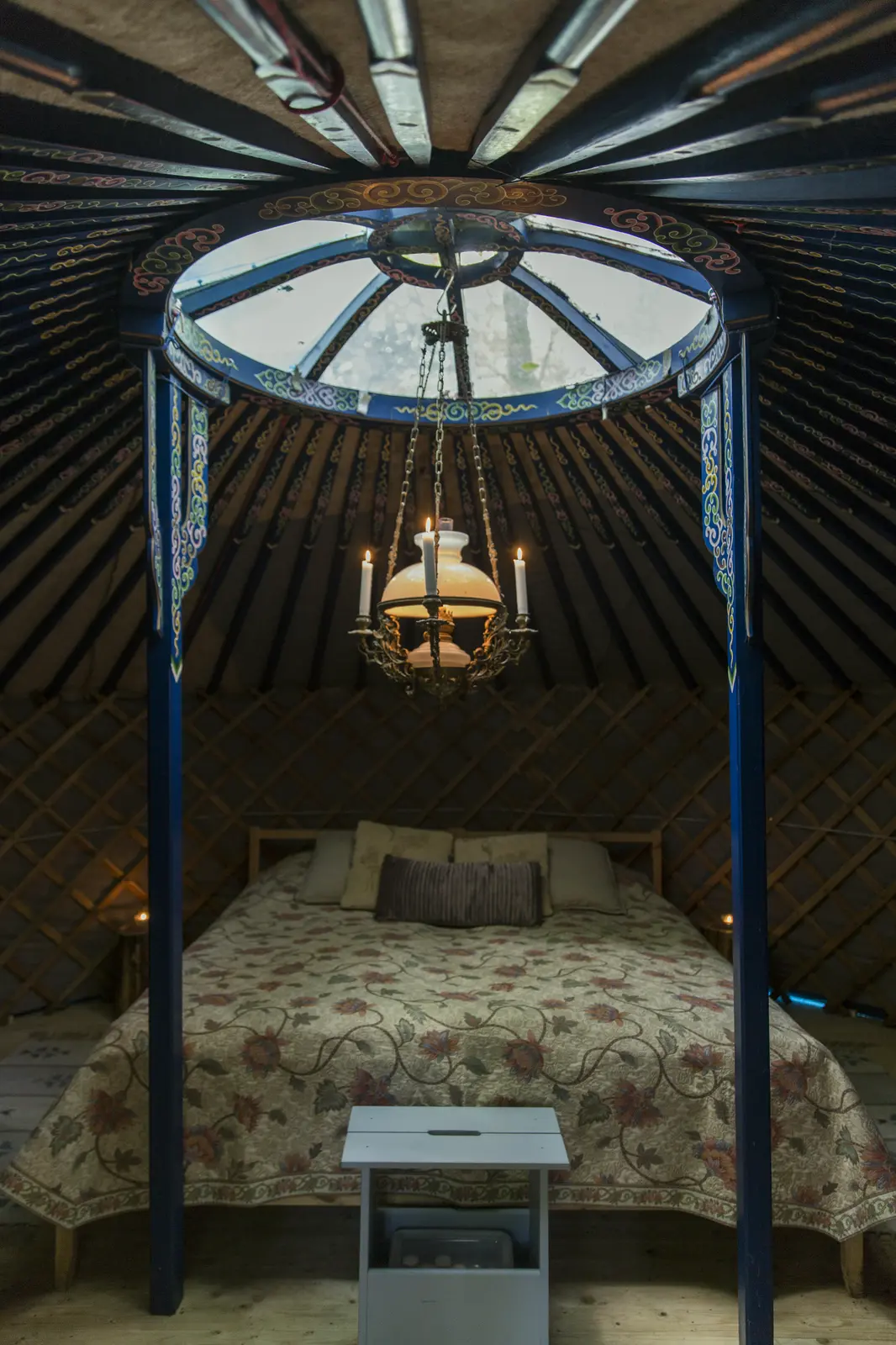 Bäckahästen - mitt i skogen på Nyrups Naturhotell!