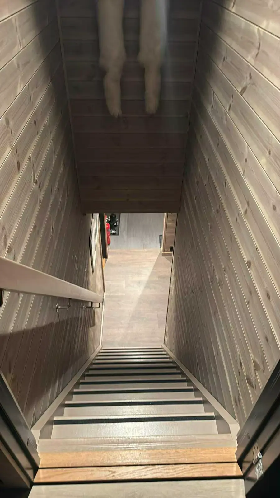 Slide 45