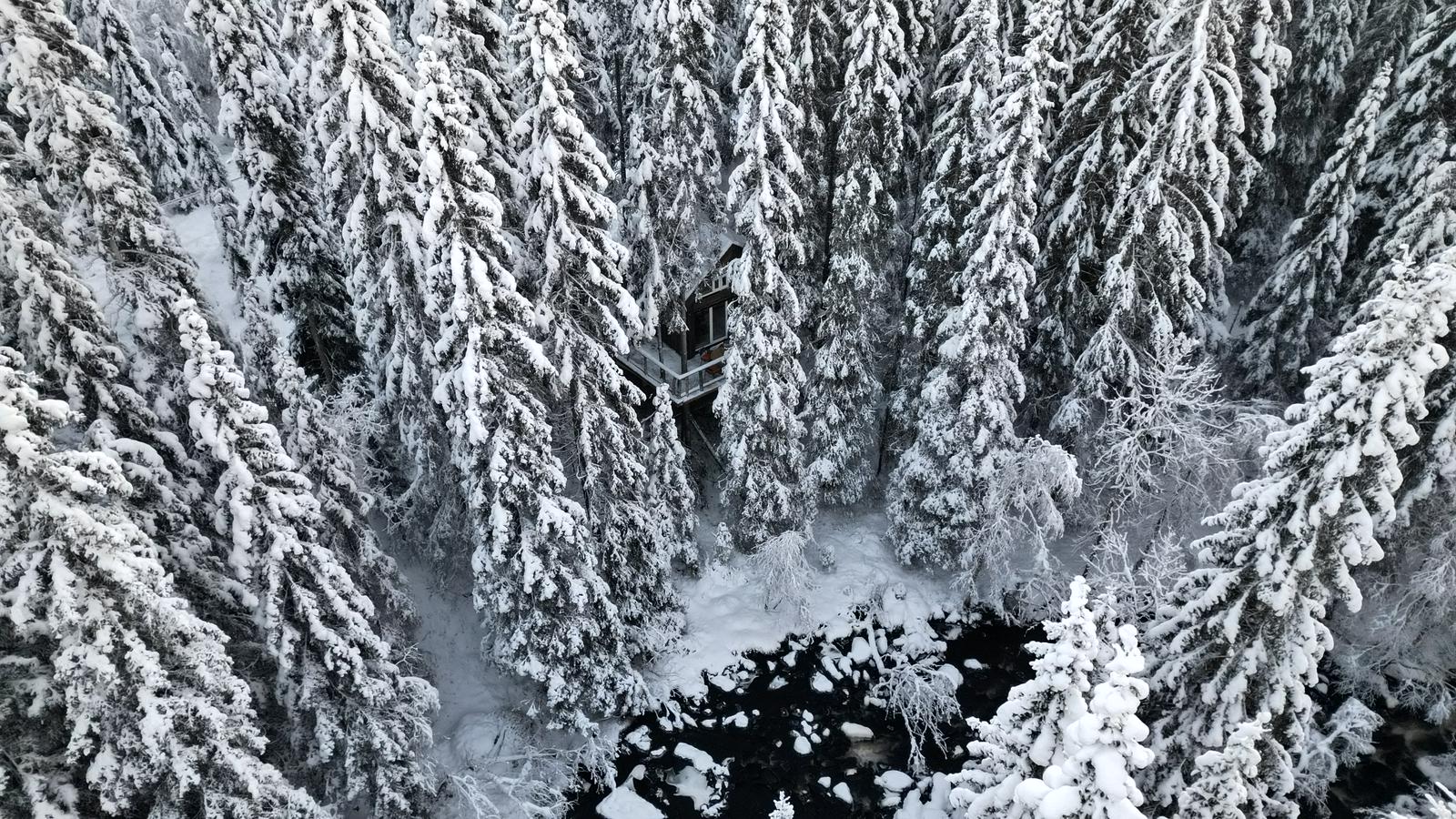 Tretopphytte i Lårdal -