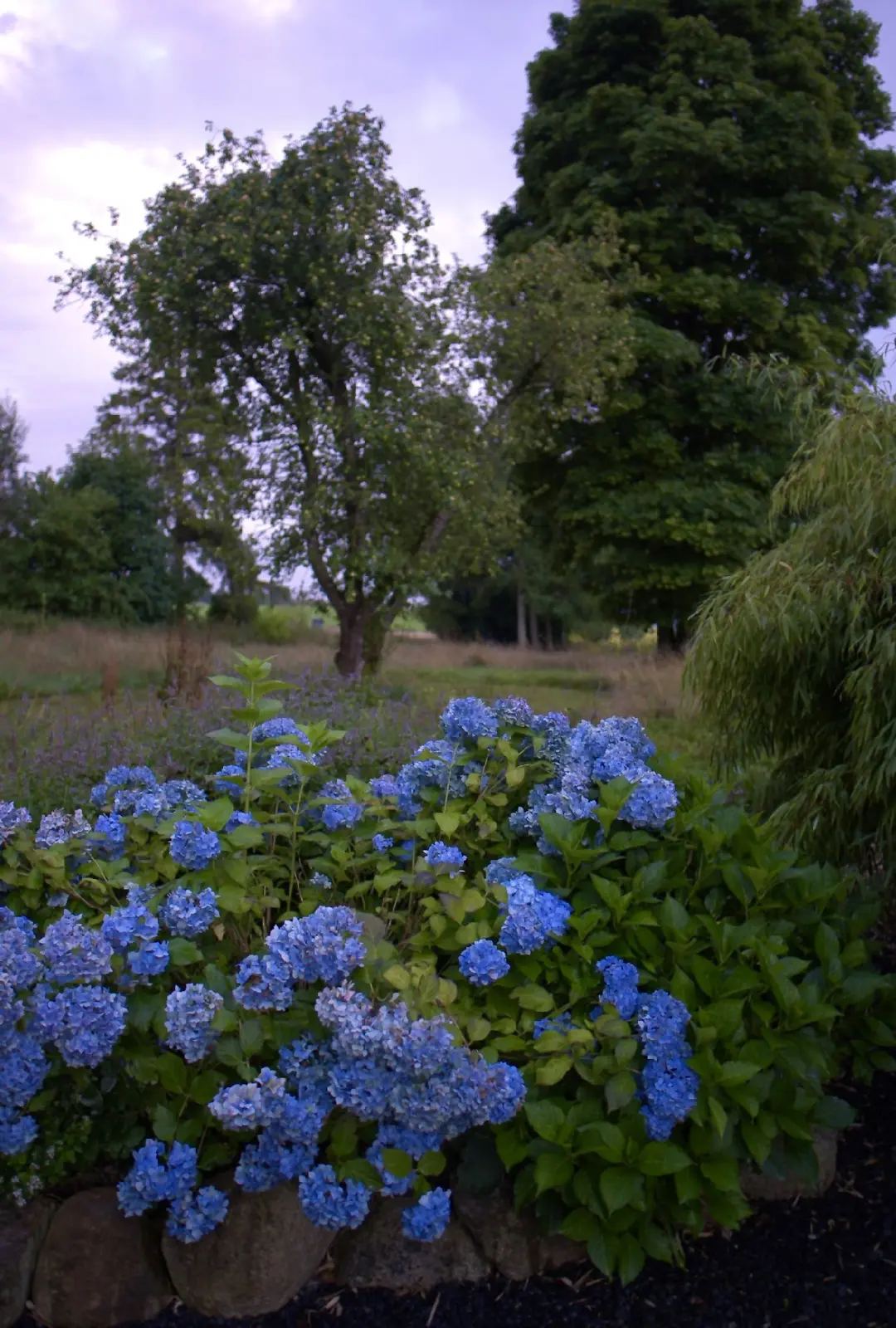 Slide 42