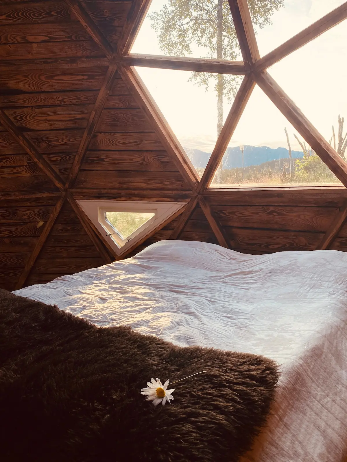 Dome house/glamping in exquisite nature