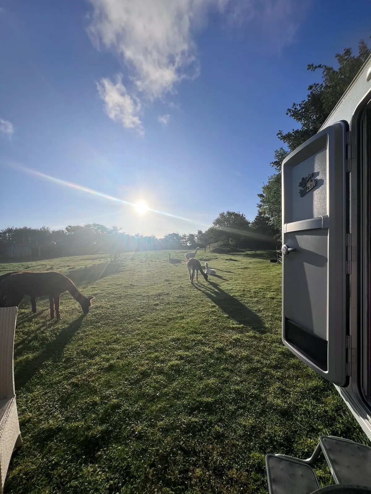 Glamping im Alpakastall b