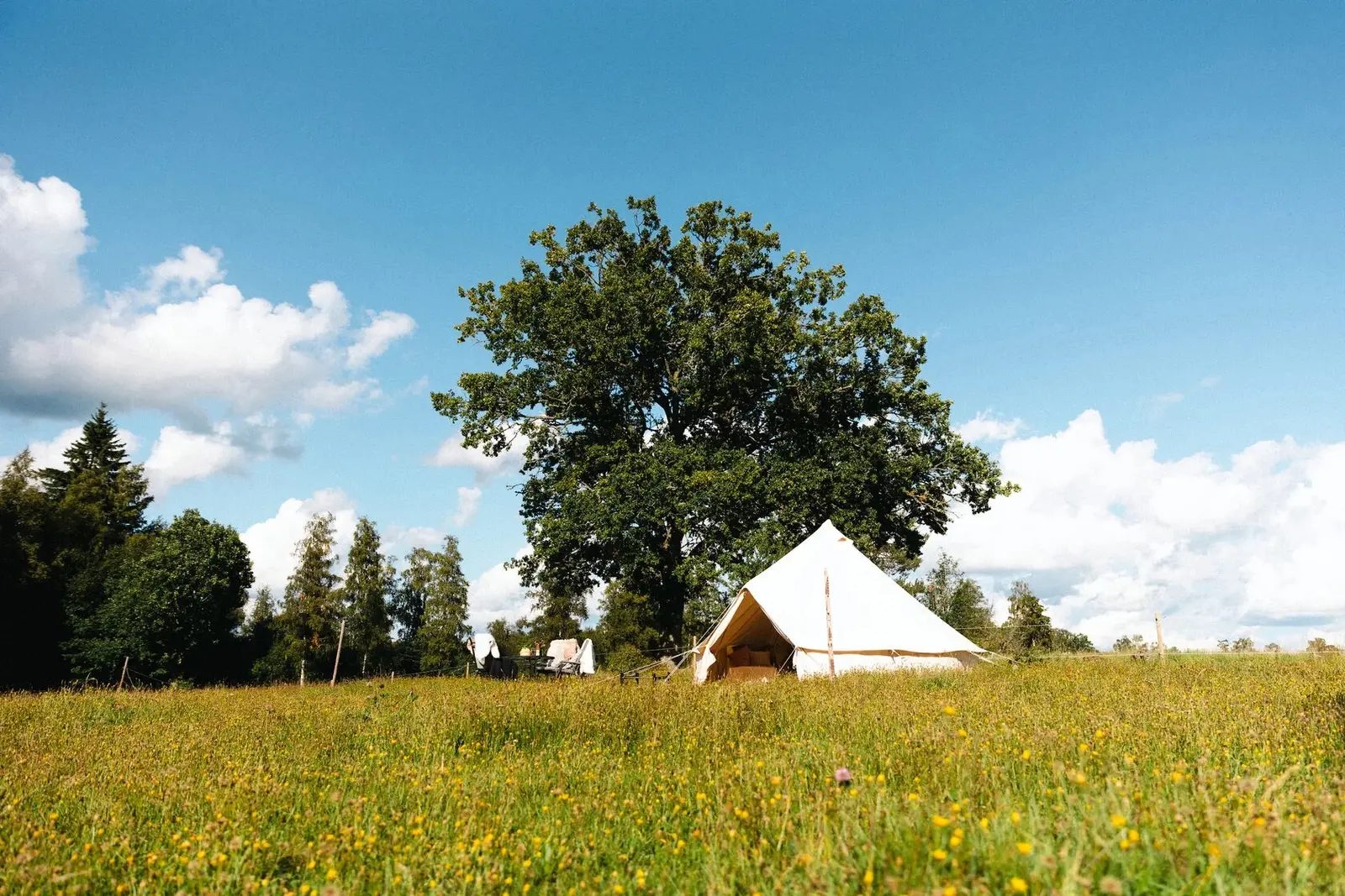 Söraby - Glamping med