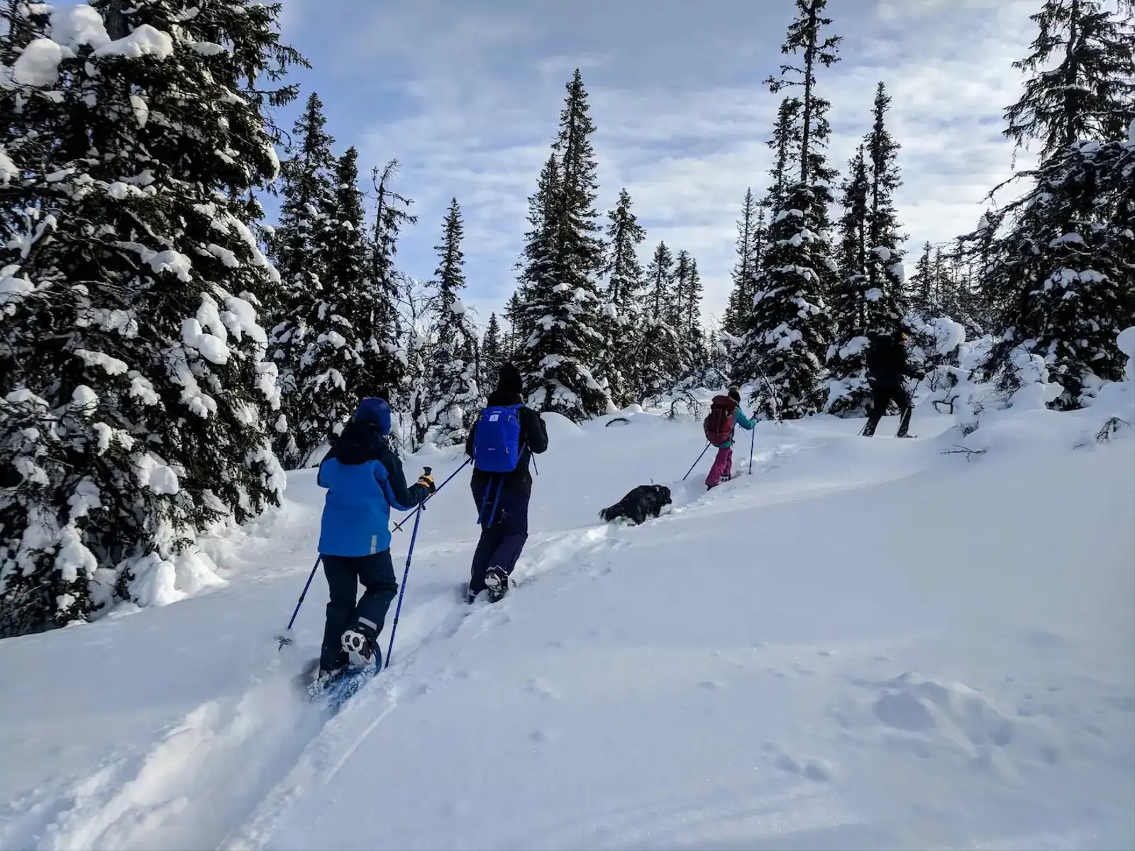 Slide 22