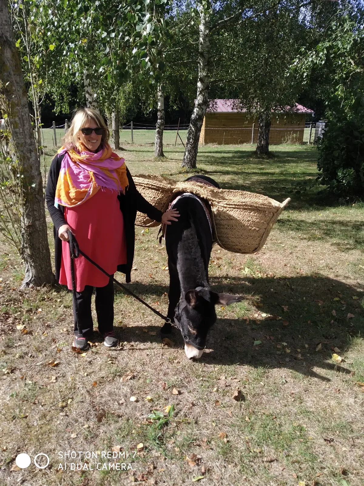 Slide 6