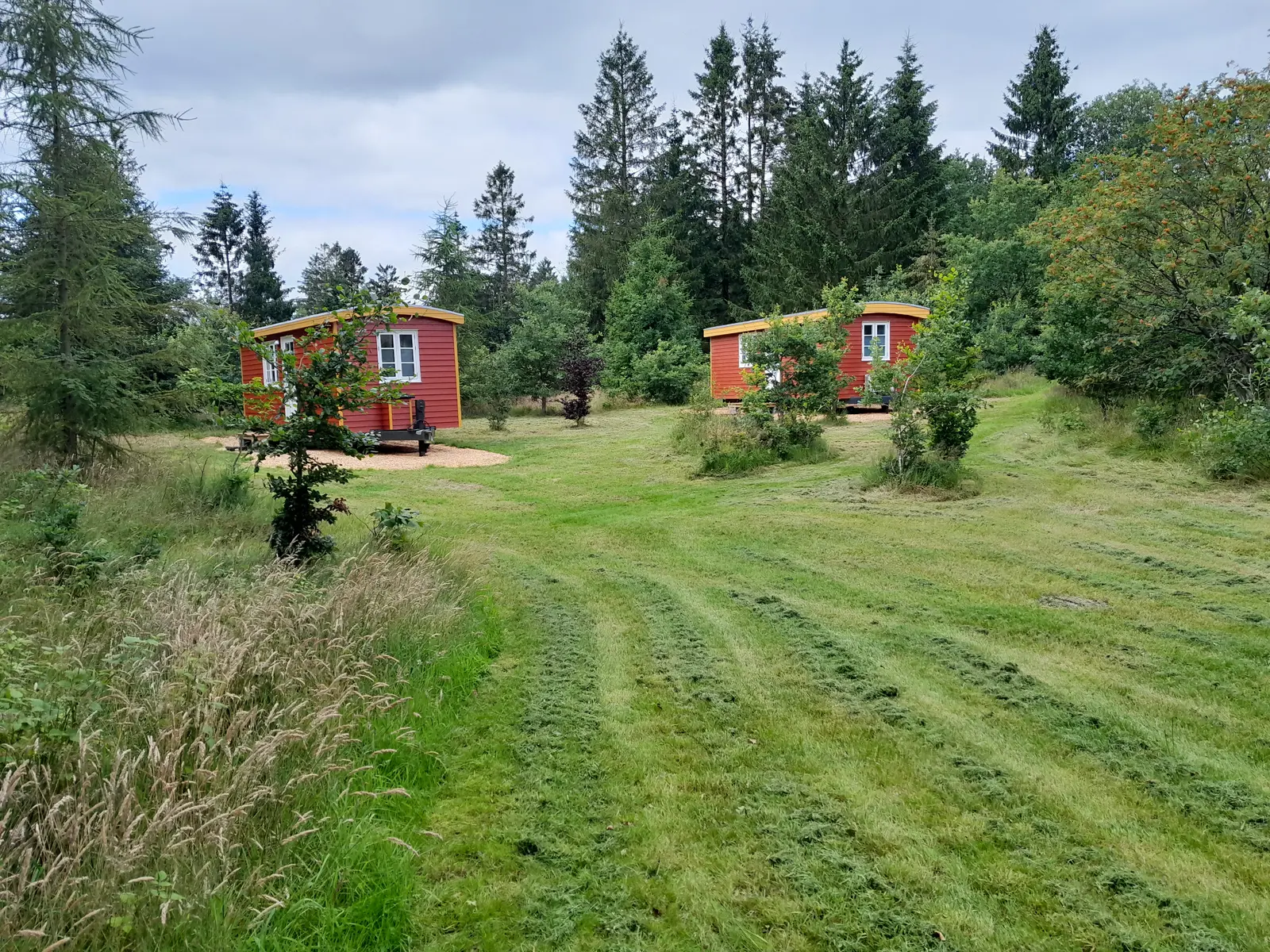 Horsbjerg Natur