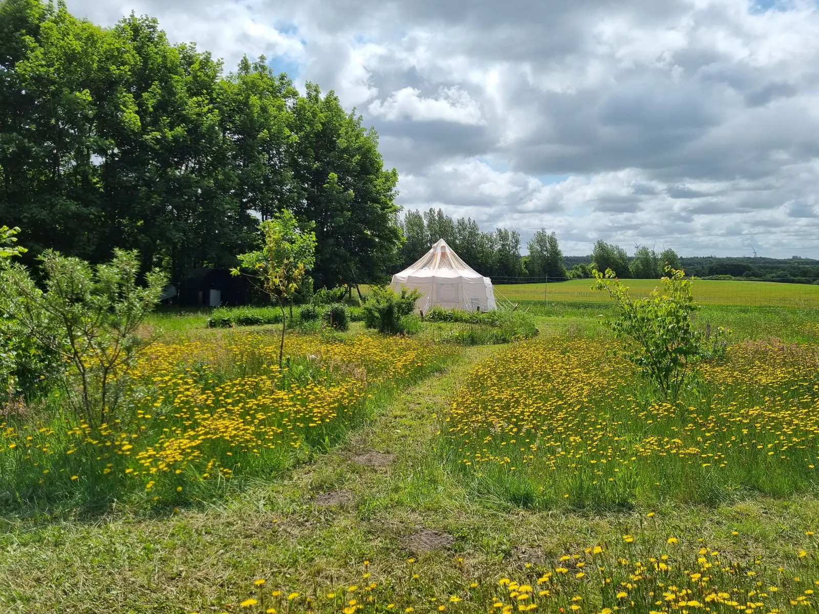 Skovhaven på Abildlund