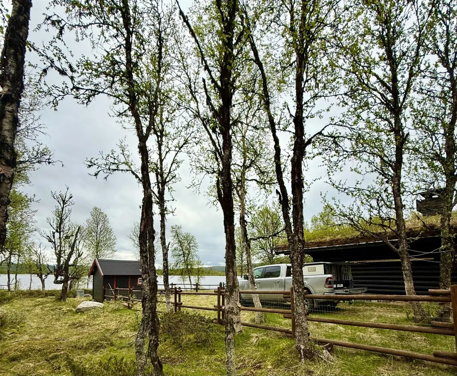 image gallery