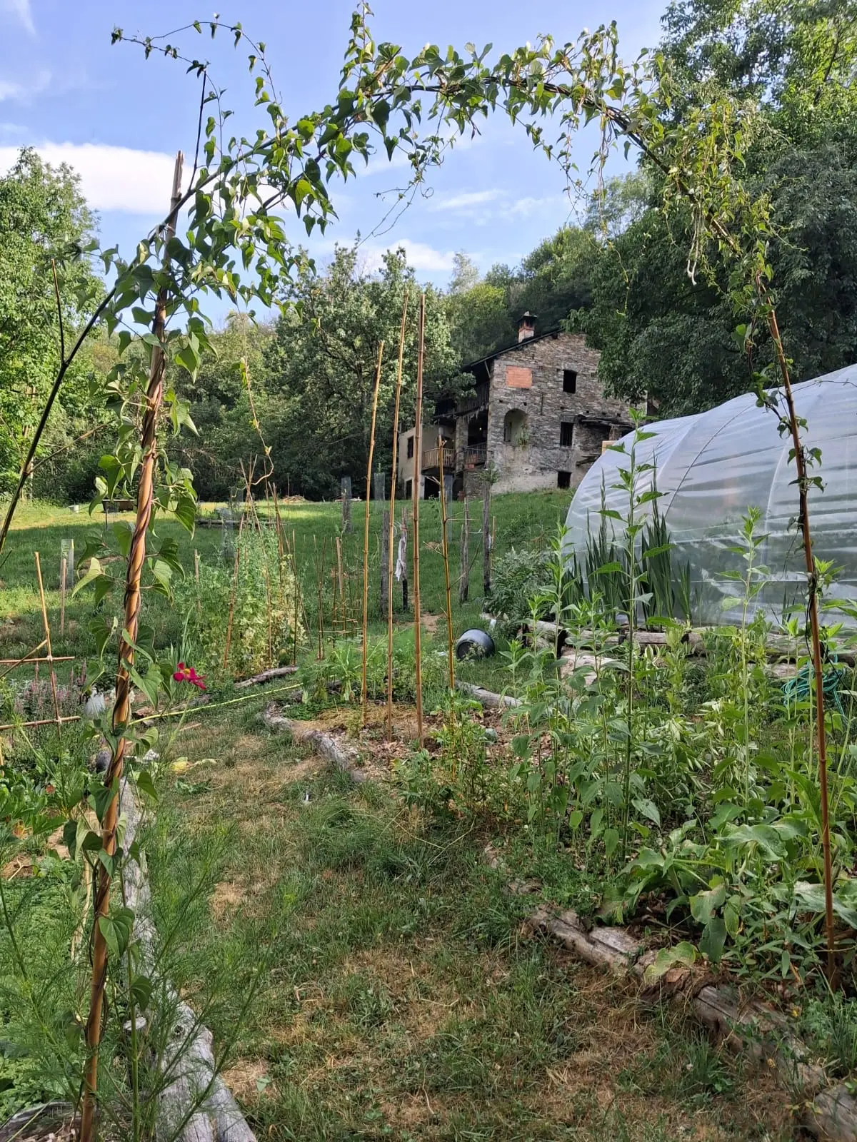 Bungalow i Trausella – Off-Grid Glamping Tent in a Secluded Foodforest – photo 13
