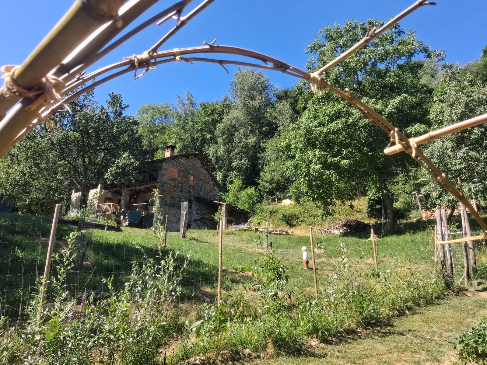 Bungalow i Trausella – Off-Grid Glamping Tent in a Secluded Foodforest – photo 7