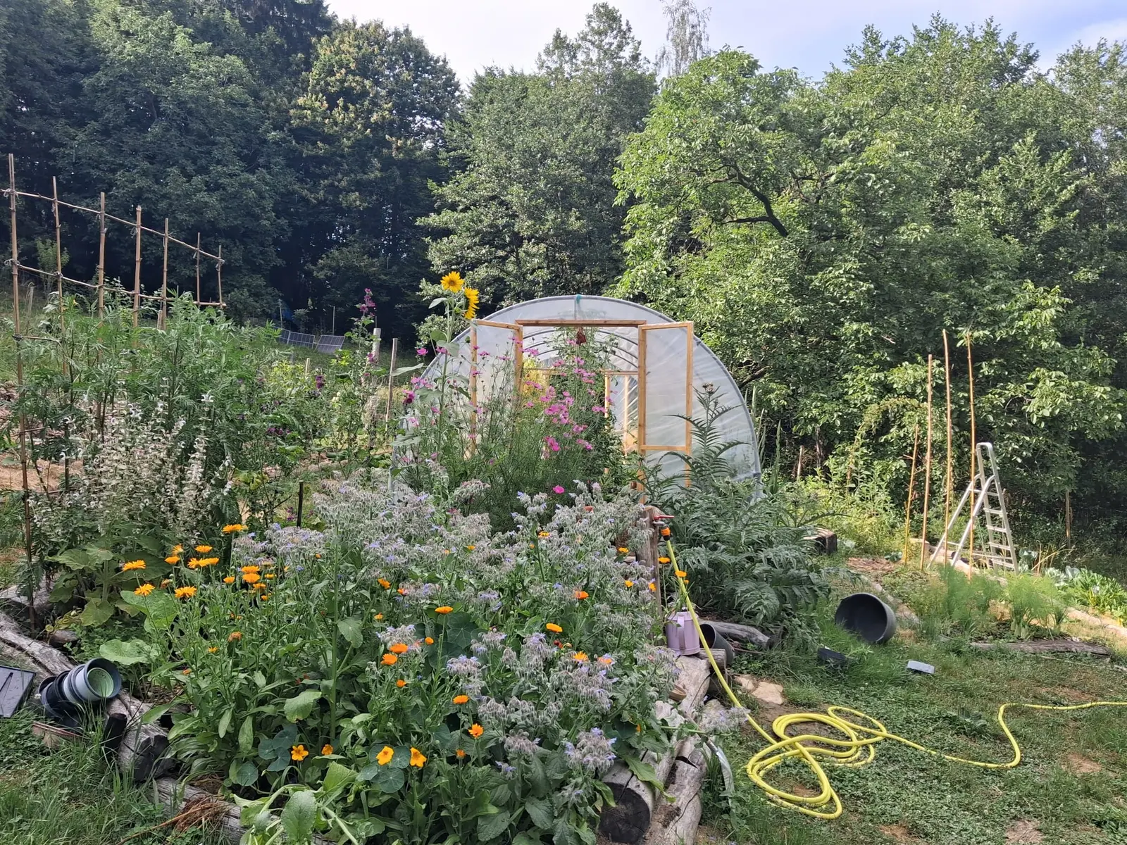 Bungalow i Trausella – Off-Grid Glamping Tent in a Secluded Foodforest – photo 14