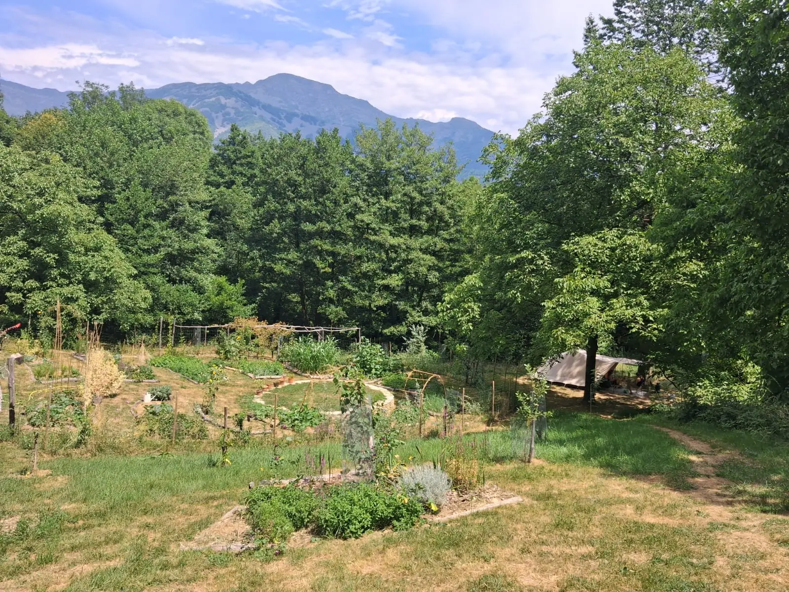 Bungalow i Trausella – Off-Grid Glamping Tent in a Secluded Foodforest – photo 6