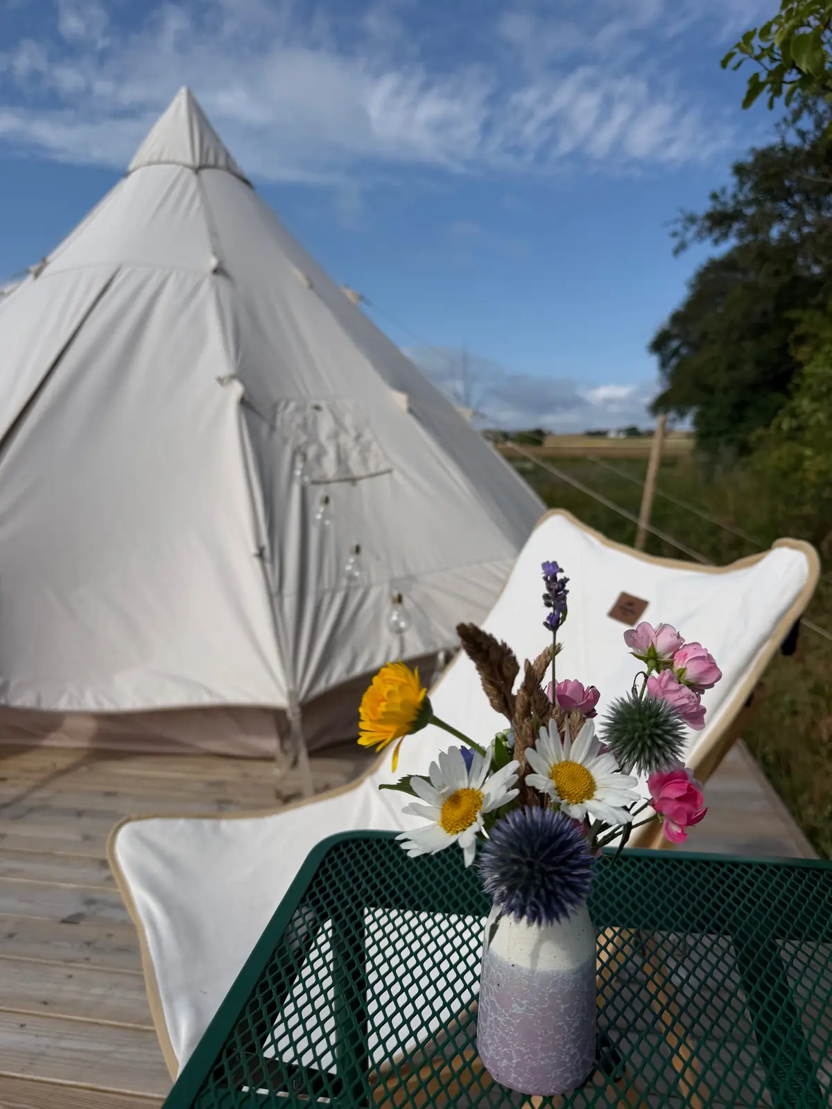 Bungalow i Samsø – Glamping på Samsø-Rådyret – photo 12