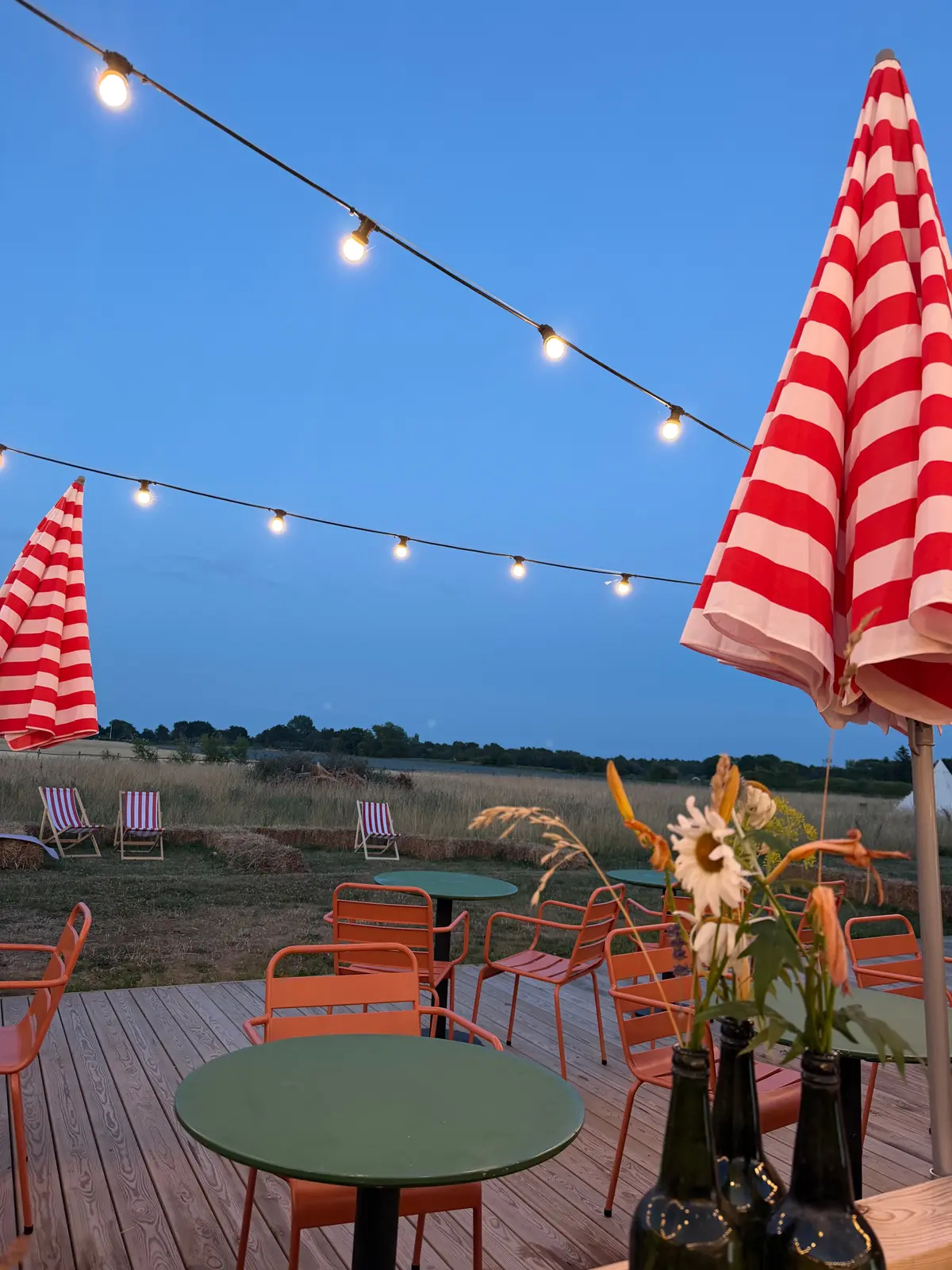 Bungalow i Samsø – Glamping på Samsø-Rådyret – photo 33