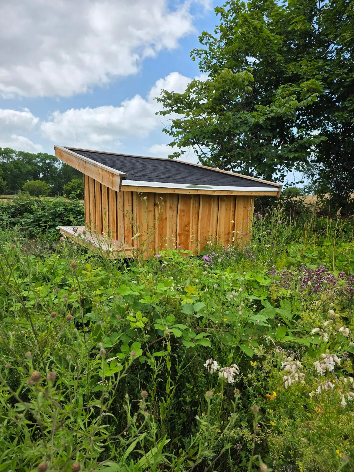  Shelter i Sommerfuglestien