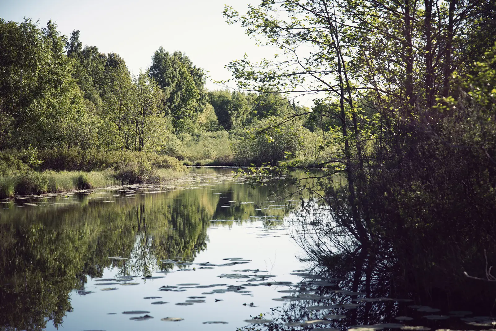 Hytte i Braås – Unik naturupplevelse i Småland – photo 23