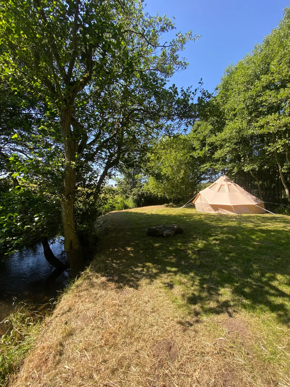 Cabin i Hadsten – Unikt ophold med ro og natur – photo 9