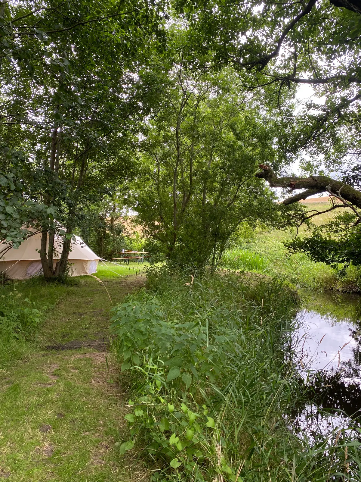 Cabin i Hadsten – Unikt ophold med ro og natur – photo 10