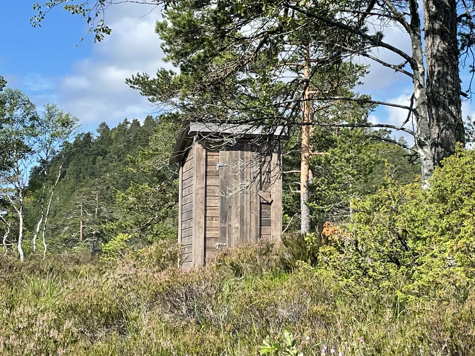image gallery