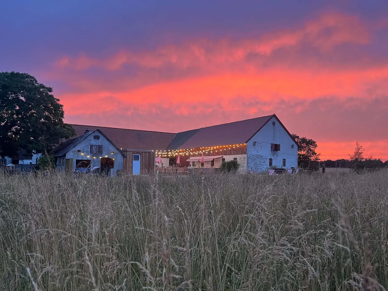 Bungalow i Samsø – Glamping på Samsø-Rådyret – photo 37