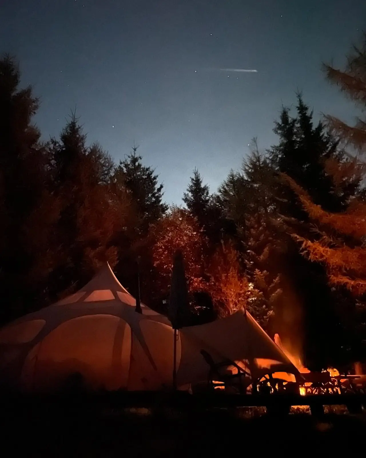Unik glamping midt i skoven