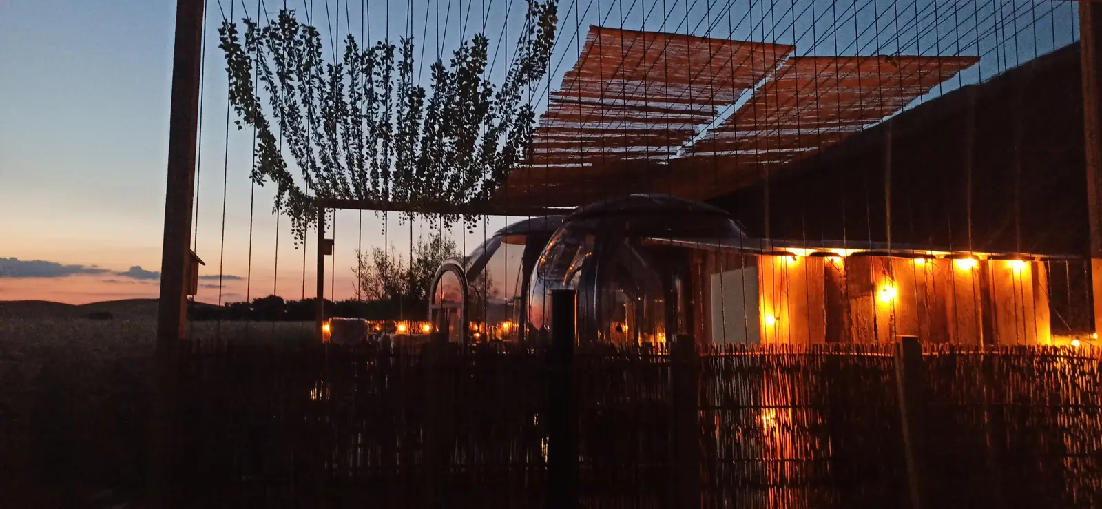 Glamping i Knebel – Panorama udsigt og havkig (Solnedgangen)
