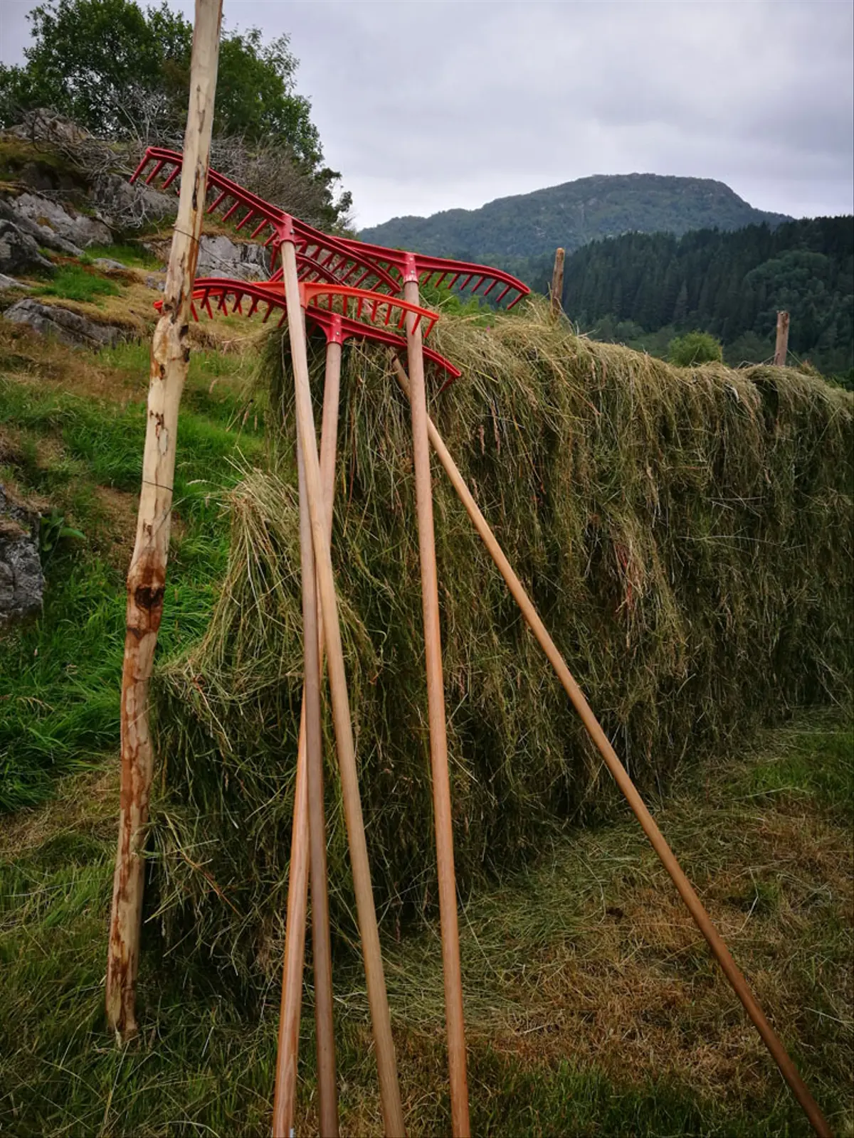 Klein huis i Frekhaug – Gripen farm: Skrivestova /  Writer's nest – photo 58