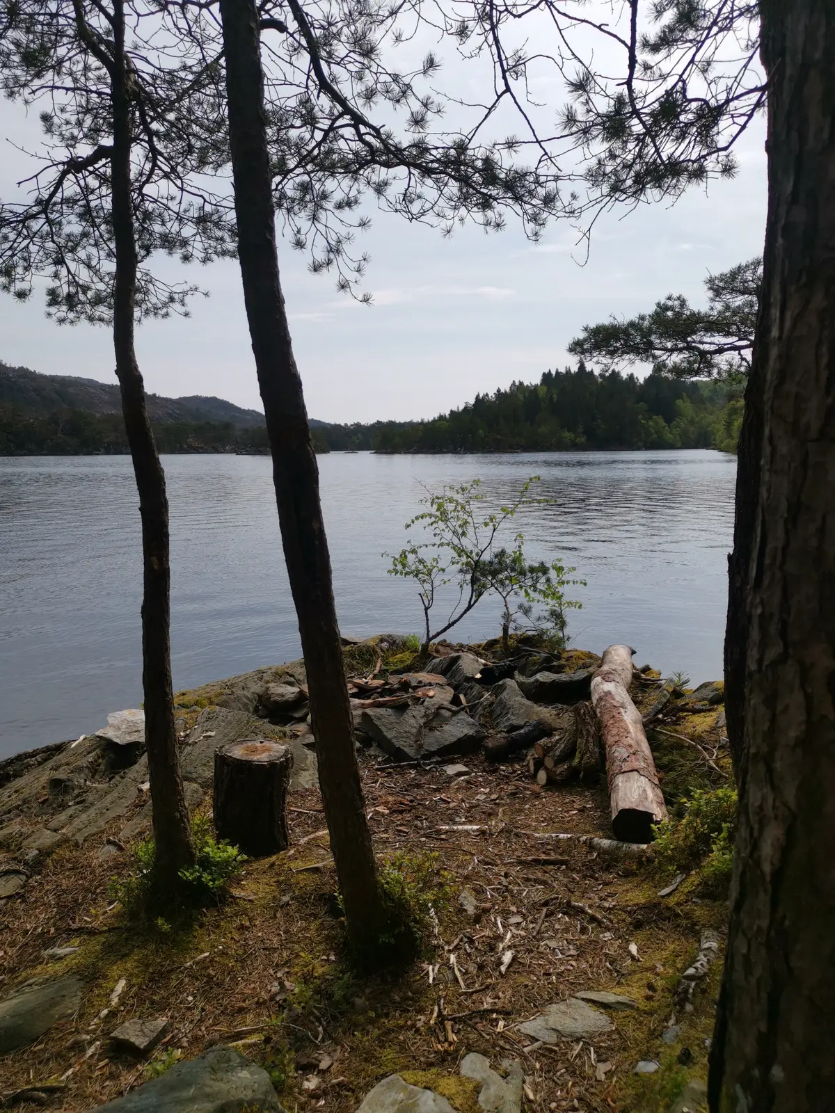 Glamping i Frekhaug – Rosenholmen – photo 28