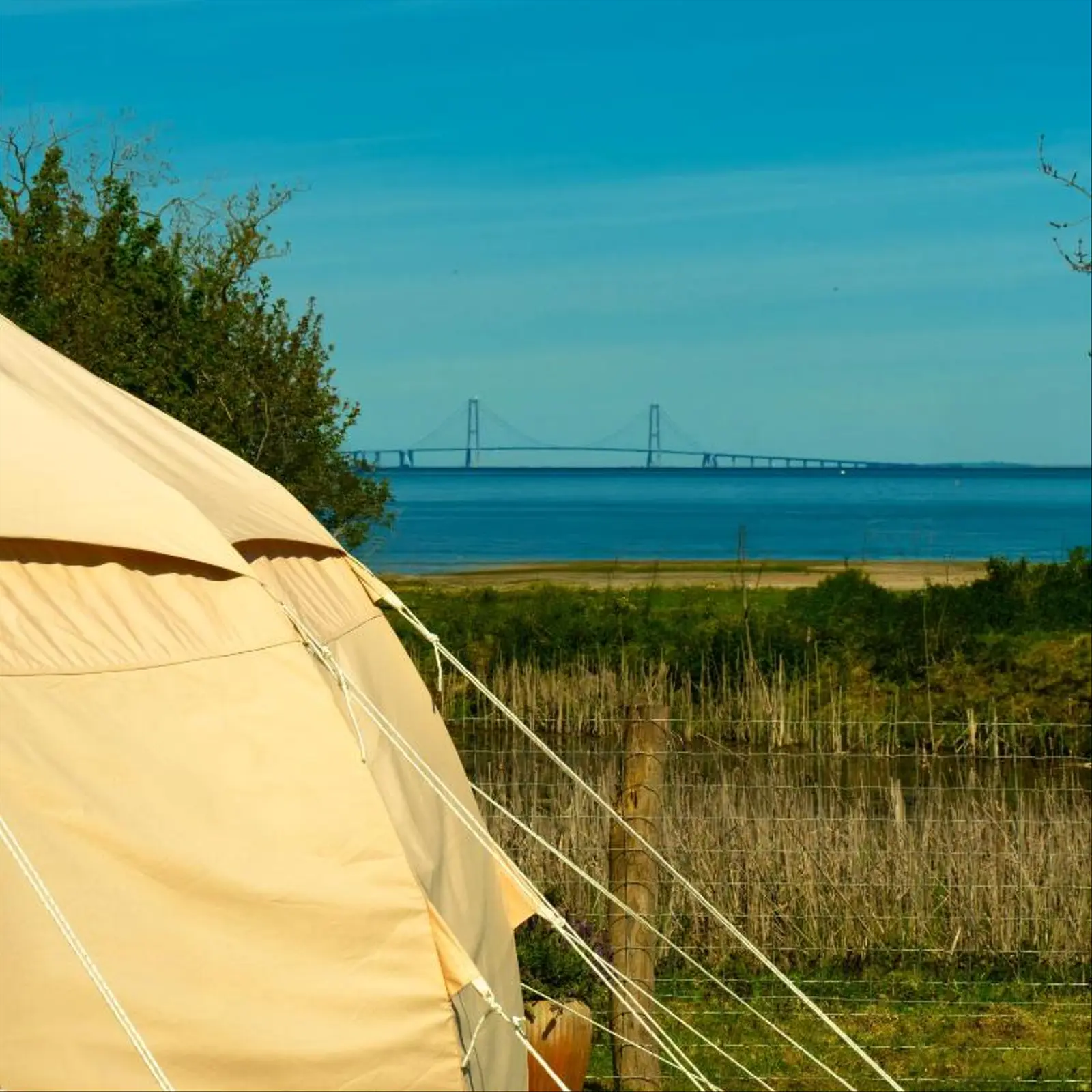 Cabin i Frørup – Storebælt Glamping Fyn - Luksustelt A – photo 9