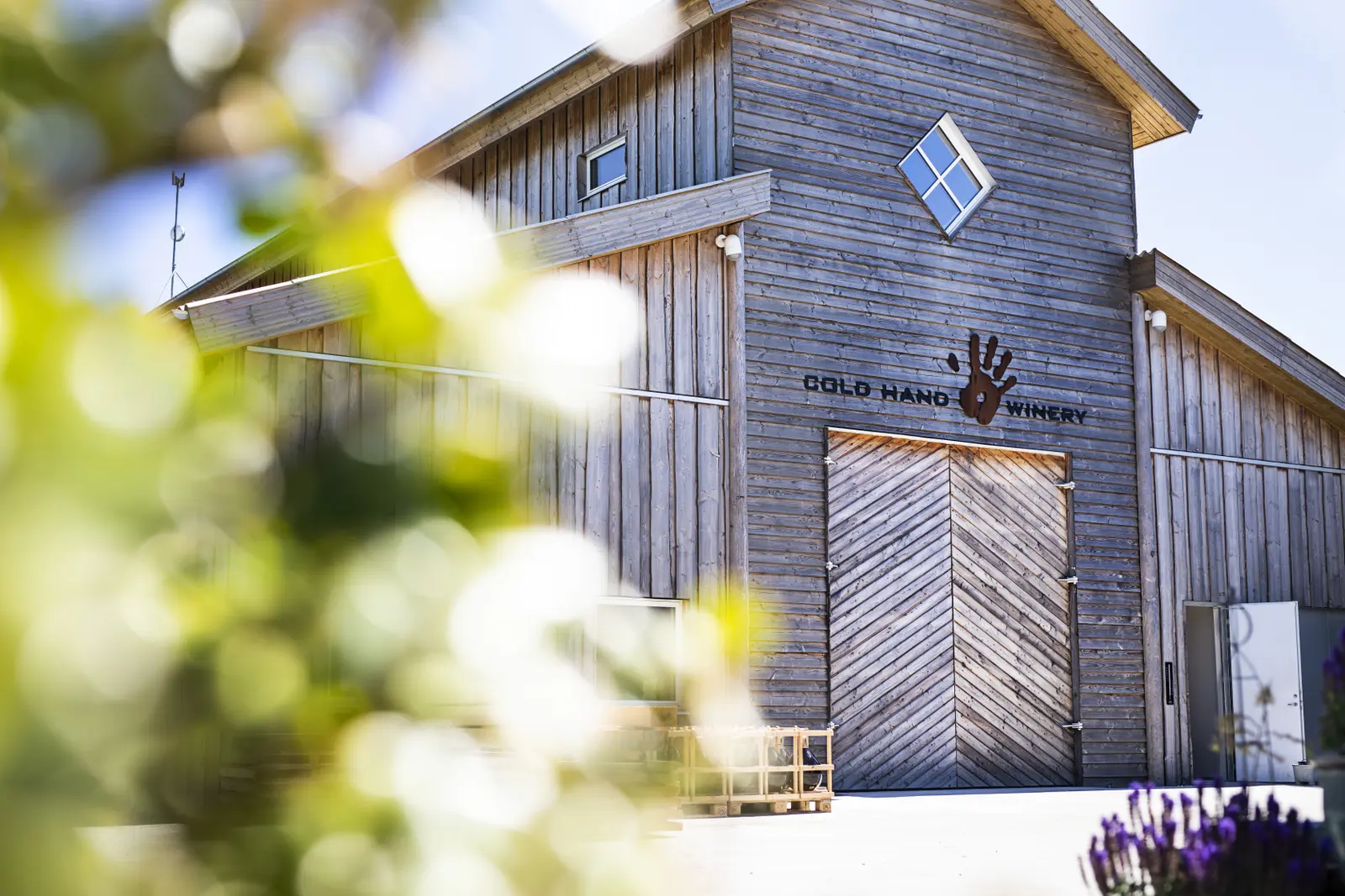 Tiny House i Randers – Vintønde Filippa midt i æblehaven på vineriet Cold Hand Winery – photo 7