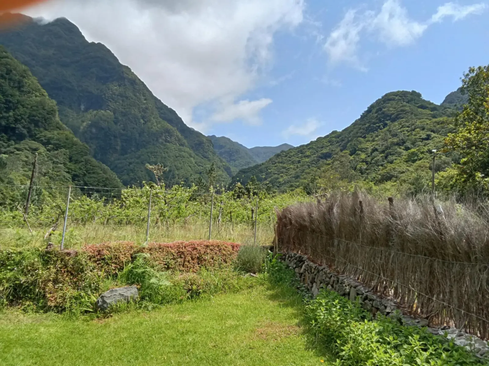 Bungalow i Seixal – Peaceful Mountain Tiny House in Madeira – photo 7