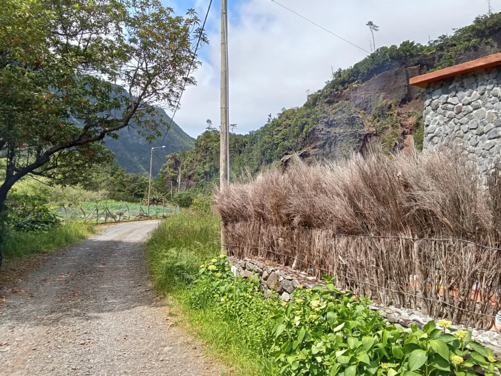 Bungalow i Seixal – Peaceful Mountain Tiny House in Madeira – photo 15
