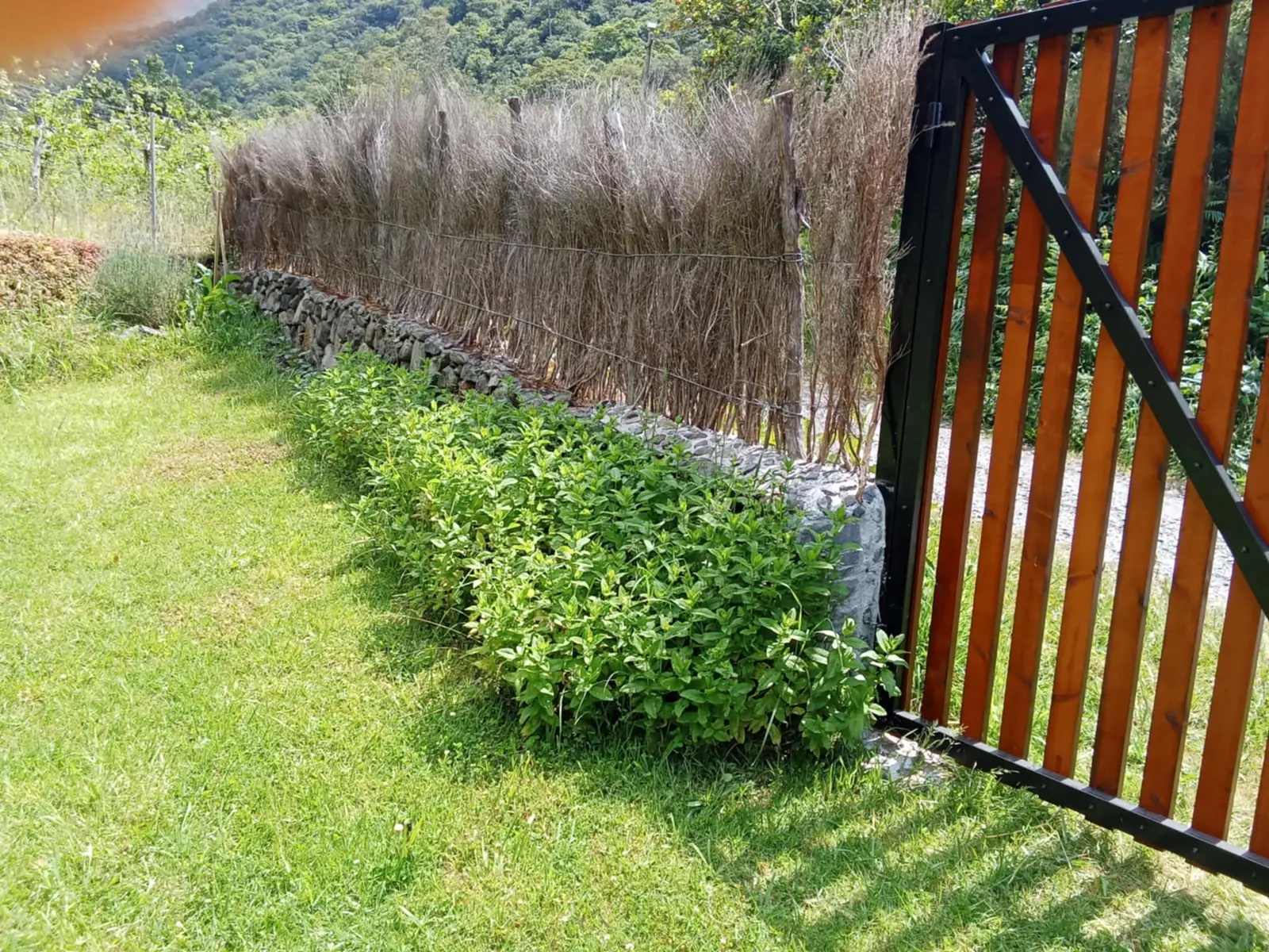 Bungalow i Seixal – Peaceful Mountain Tiny House in Madeira – photo 9