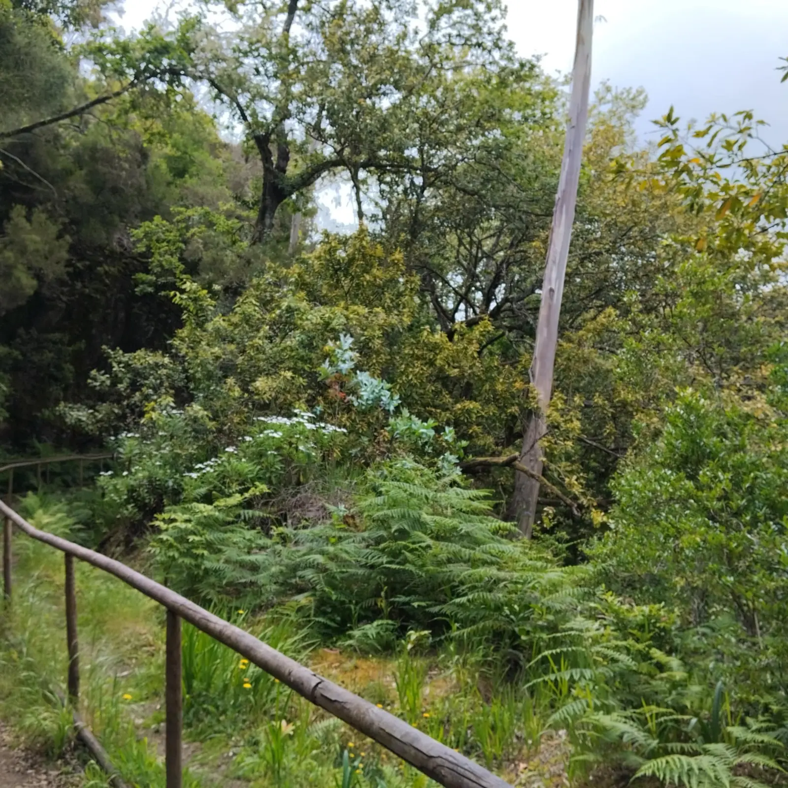 Bungalow i Seixal – Peaceful Mountain Tiny House in Madeira – photo 11