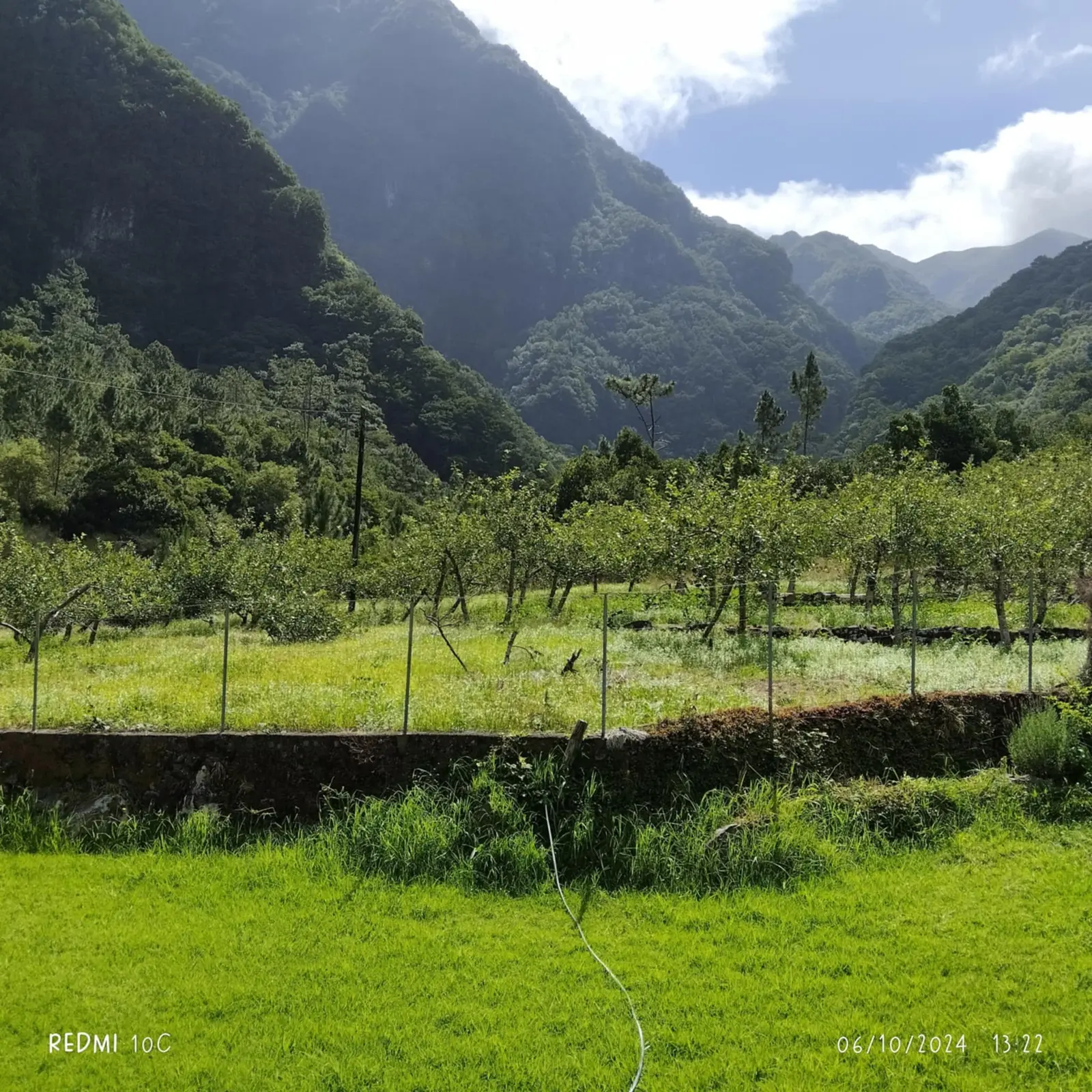 Bungalow i Seixal – Peaceful Mountain Tiny House in Madeira – photo 28
