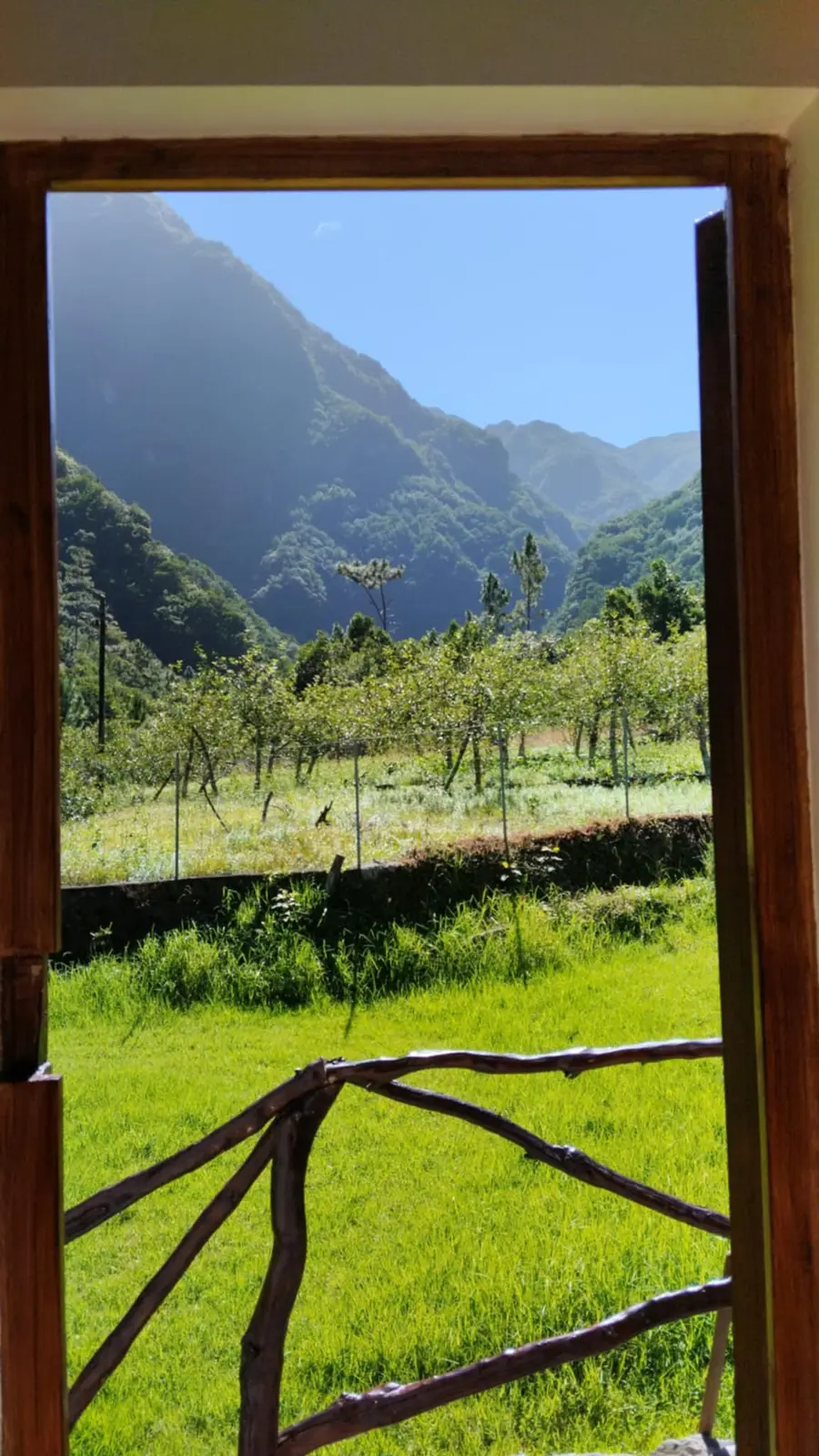 Bungalow i Seixal – Peaceful Mountain Tiny House in Madeira – photo 33