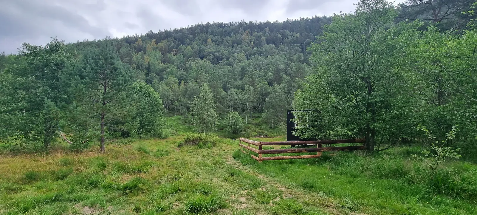 Bungalow i Åseral – Minivogn til leie. Hund tillatt – photo 27