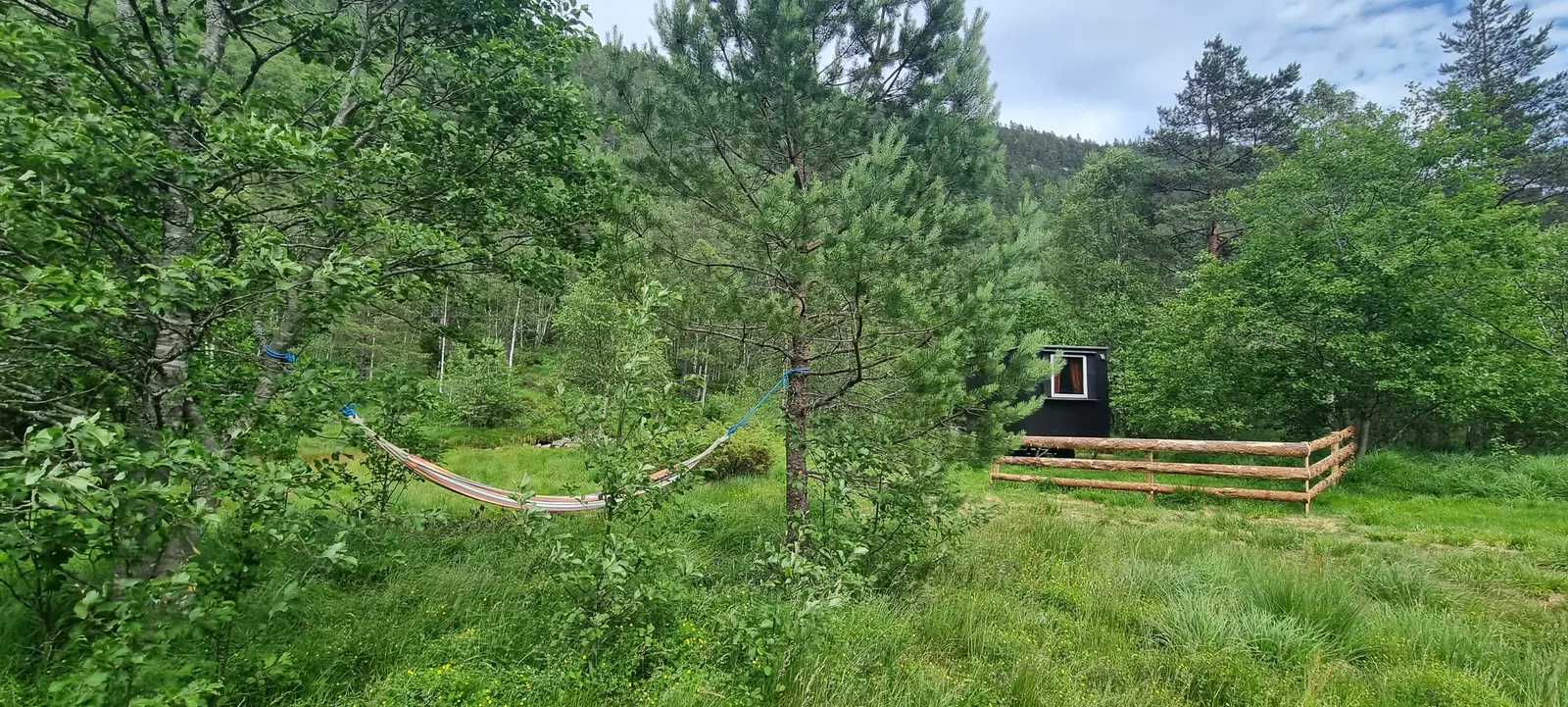 Bungalow i Åseral – Minivogn til leie. Hund tillatt – photo 28