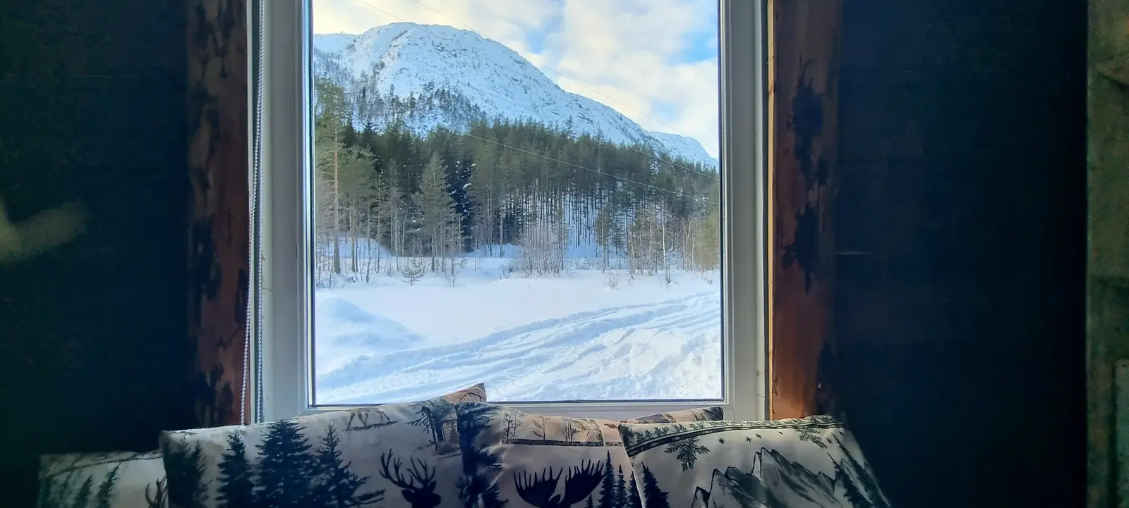 Cabane i Åseral – Hjortebu med vedovn. Naturskjønne omgivelse. Sauna, badestamp, robåt – photo 48
