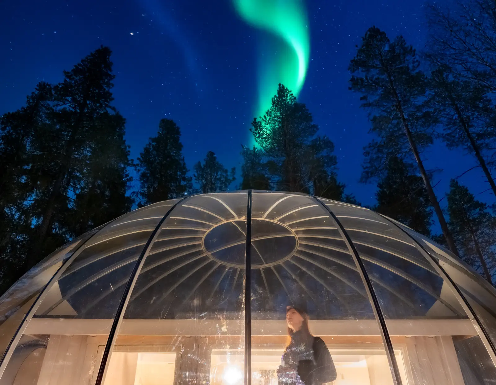 Glamping i Luleå – Modern igloo retreat with stunning northern lights views