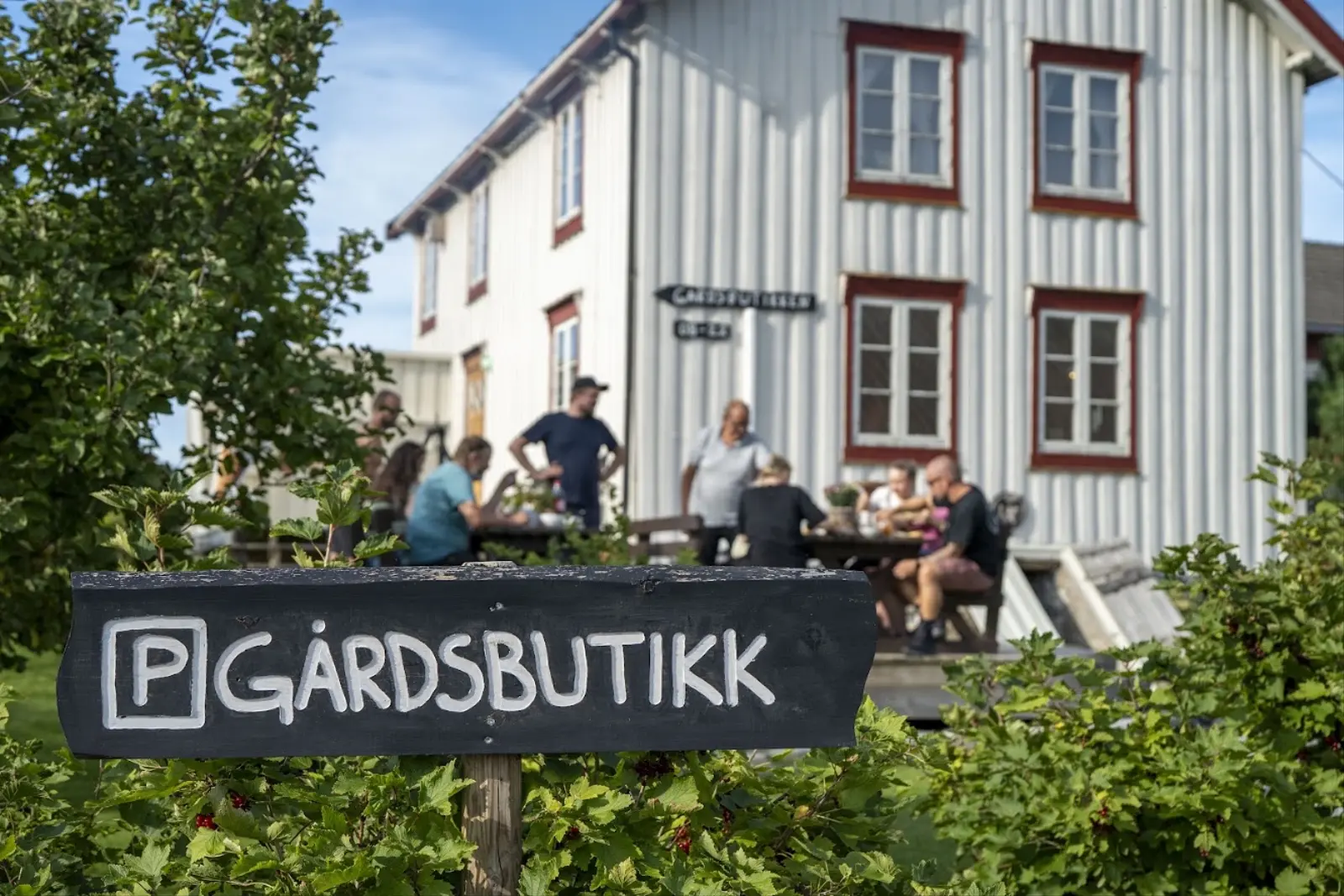 Hytte i Åsen – Luksus gapahuk - GapaLux – photo 44