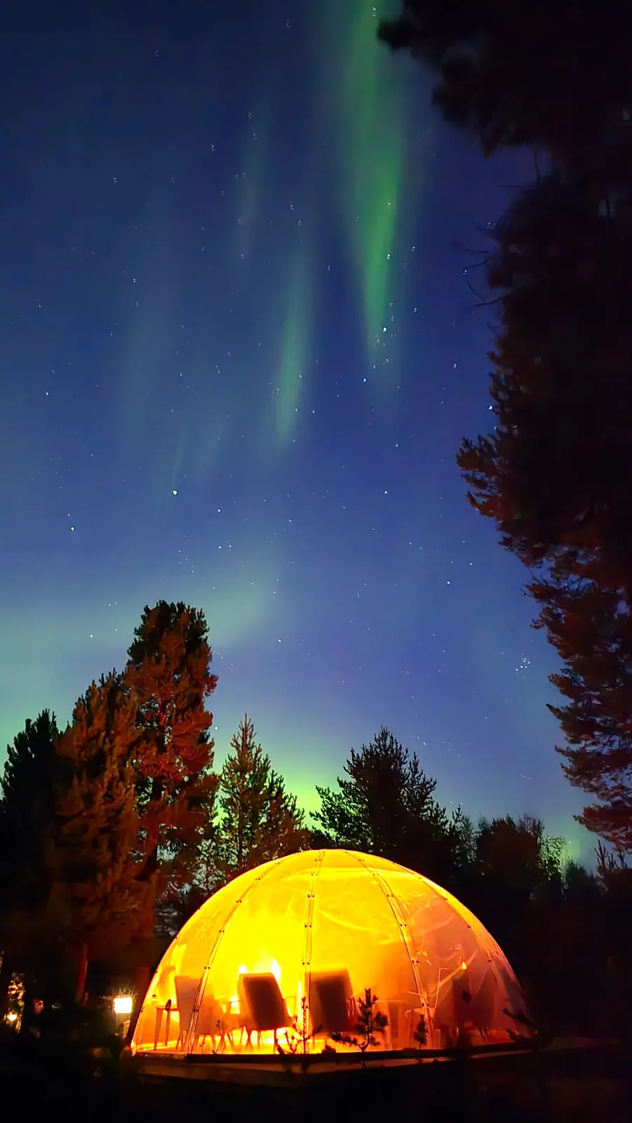 Hytte i Alta – Aurora Dome with Designer Room Included – A Unique Forest Escape – photo 21