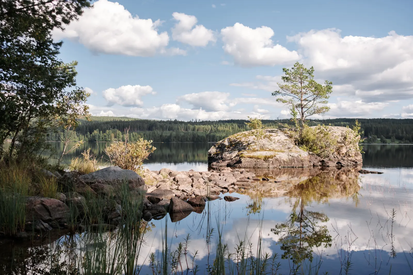 Hütte i Grue – Privat øy med moderne hytte på Frysjøen – photo 24