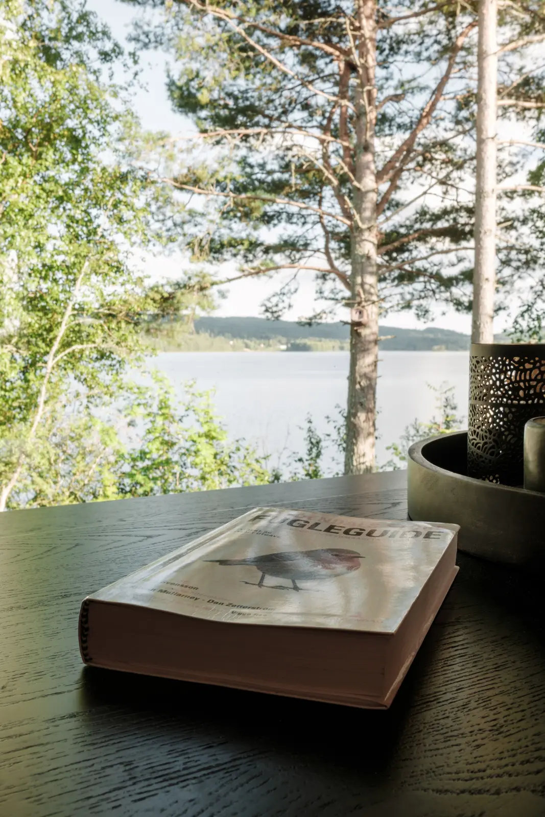 Hütte i Grue – Privat øy med moderne hytte på Frysjøen – photo 7