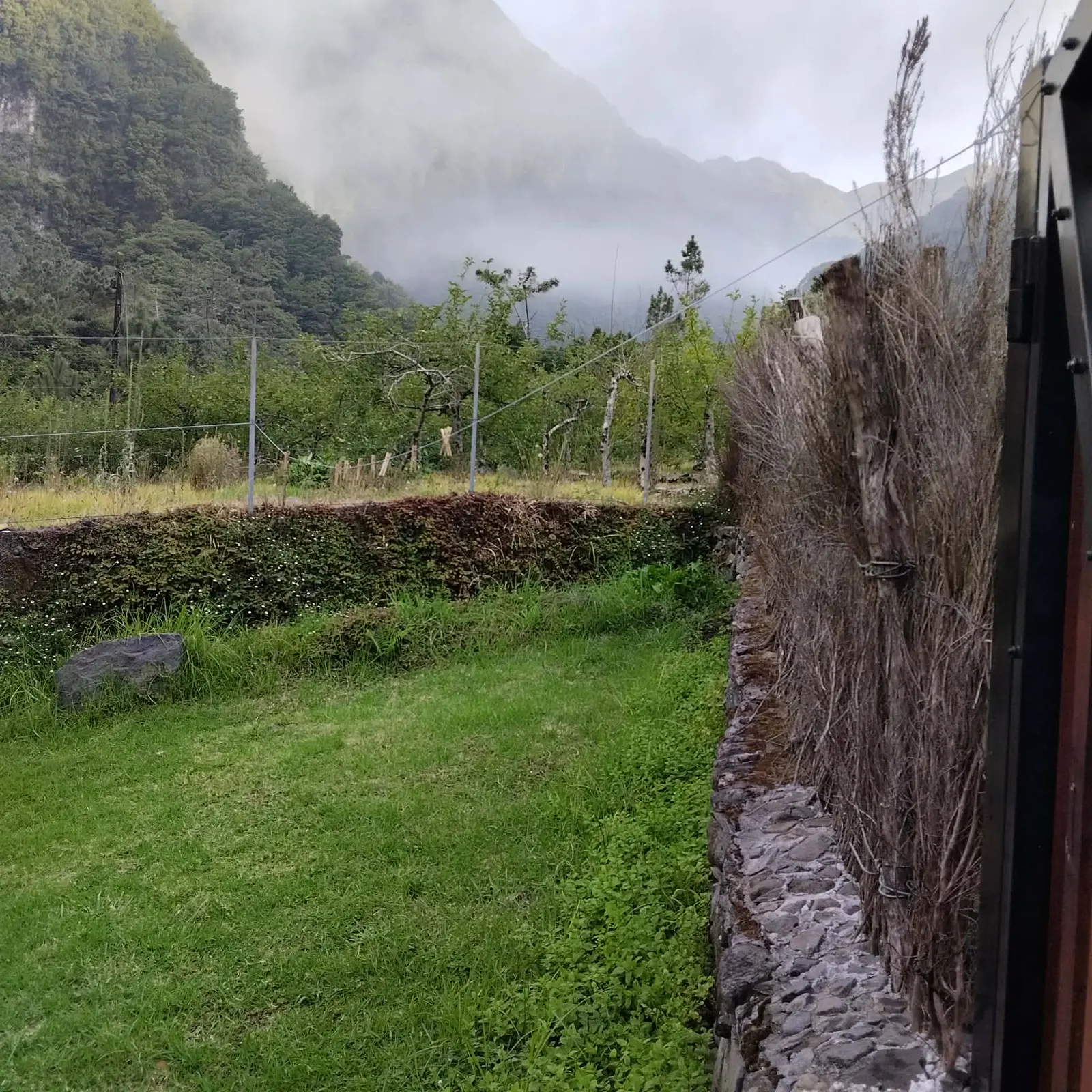 Bungalow i Porto Moniz – Peaceful Mountain Tiny House in Madeira – photo 30