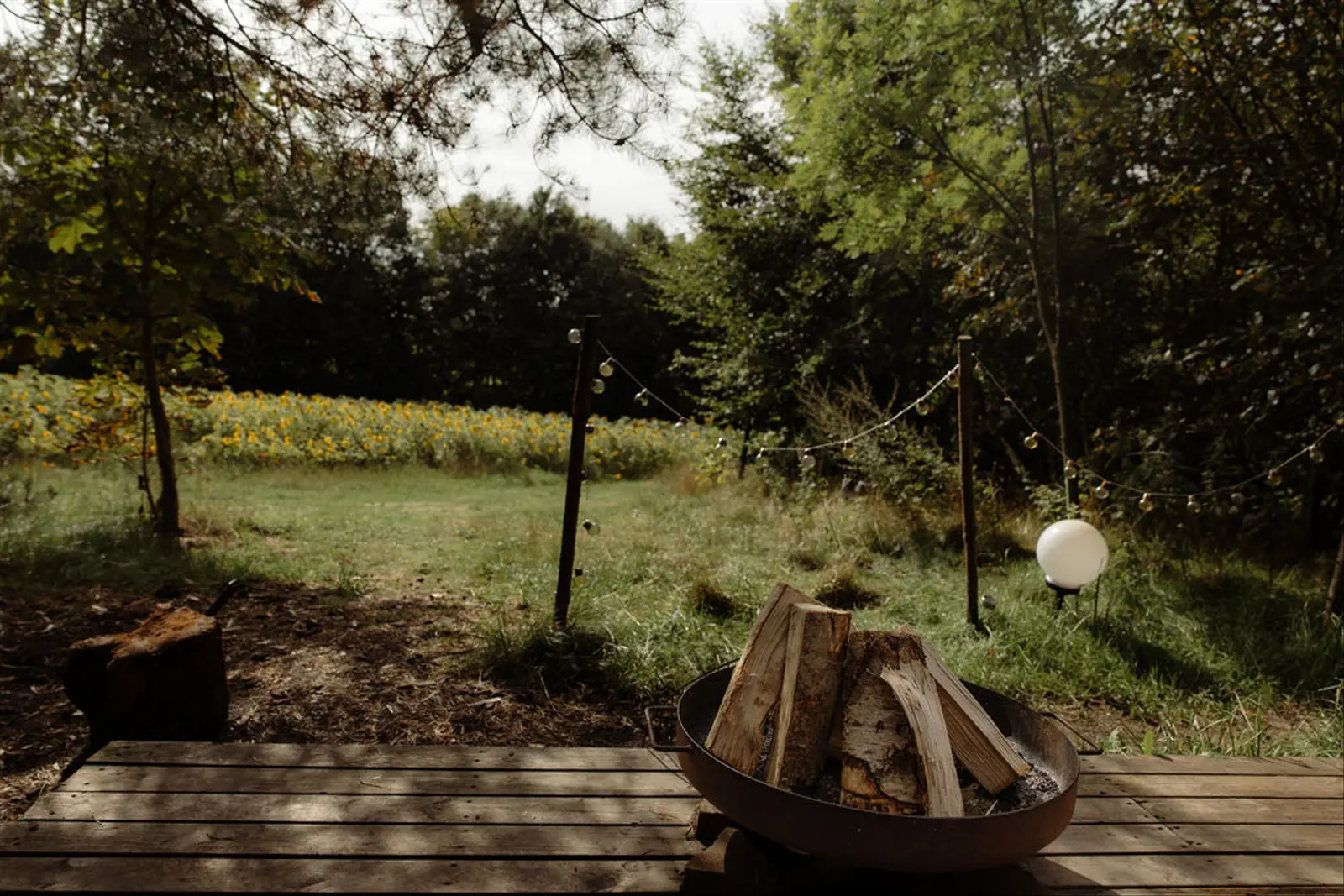Cabin i Tjele – Luksus skurvogn Granly i skoven med vildmarksbad – photo 32